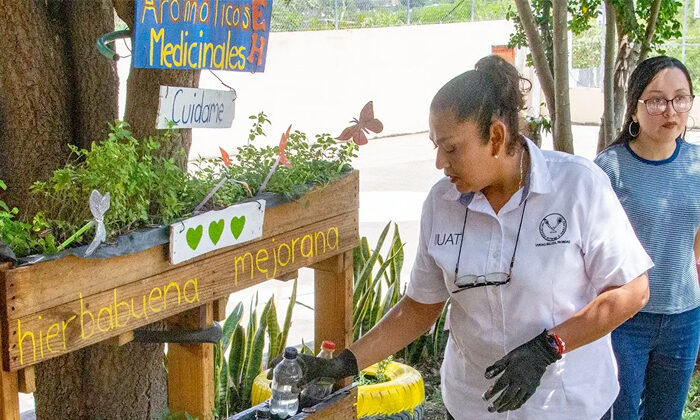 Cultivan en la UAT plantas medicinales