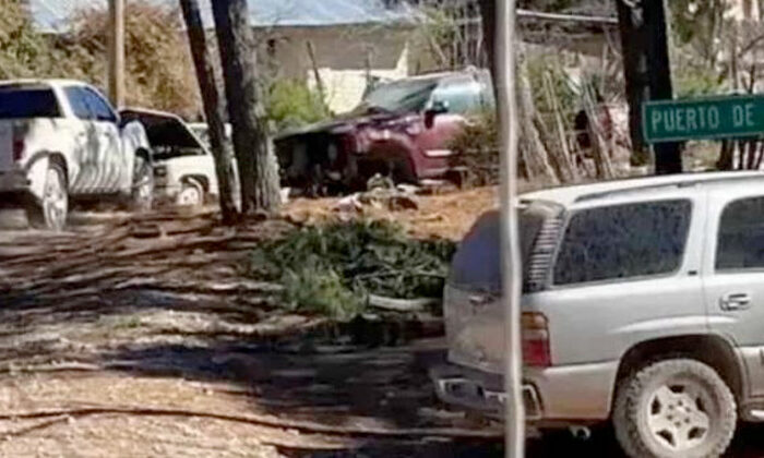 Niño muere aplastado por un árbol en su fiesta de graduación