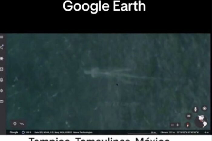 Extraño "monstruo marino" grabado en playa de Tamaulipas revelaría la existencia de base extraterrestre