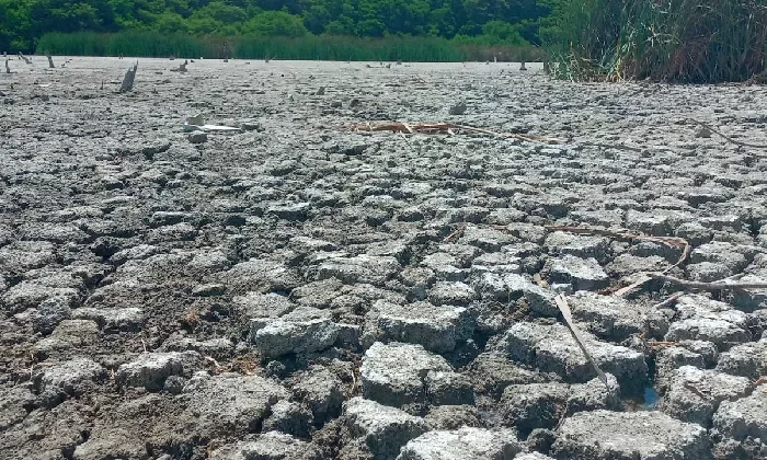 Tiene Altamira Dos Lagunas Secas