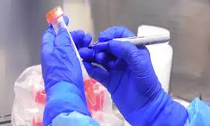 Se recupera la COVID-19, confirman 42 casos en Tamaulipas