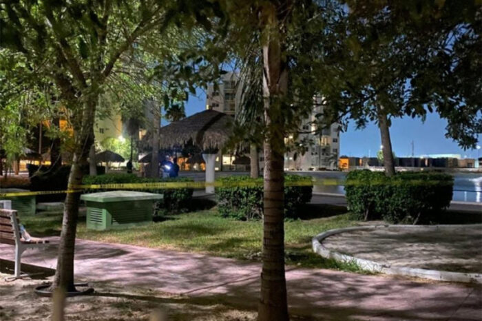 Niño y adulto mueren electrocutados en una alberca ¿Por culpa del celular?