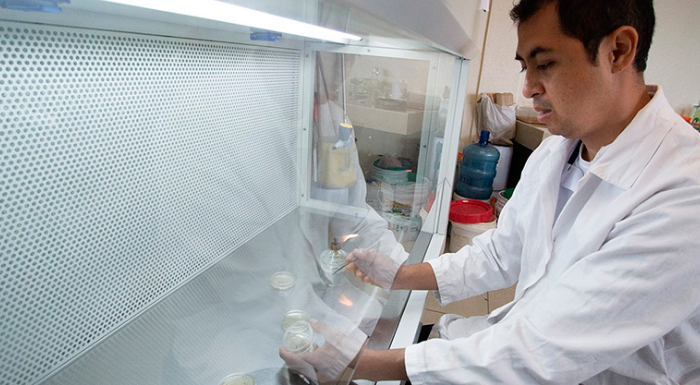 Estudia UAT insectos que son alimento