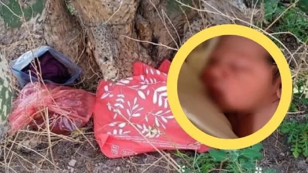 Hallan a bebé recién nacida ¡en una nopalera!