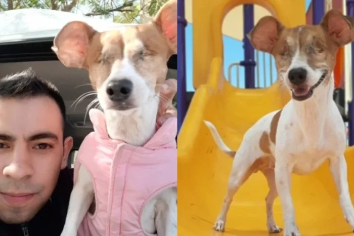 Hombre rescata a perrito sin ojos que habían abandonado en Monterrey