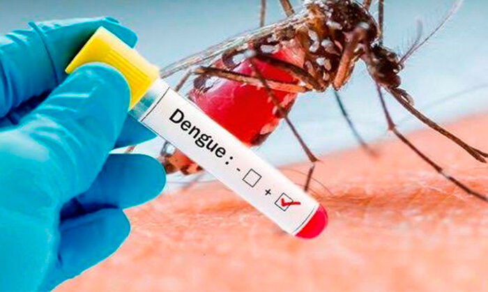 Confirman 47 casos de dengue