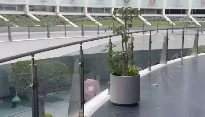 Plantita de marihuana crece en pleno corazón del Senado; en redes se arma polémica