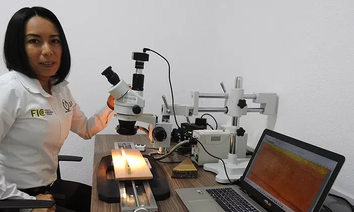 Analiza UAT patrones de lluvia en los pinos