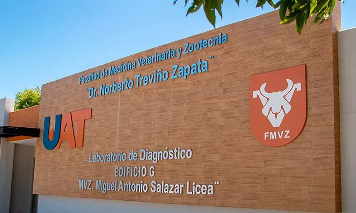 Participará la UAT, en los proyectos de Universidades de EU