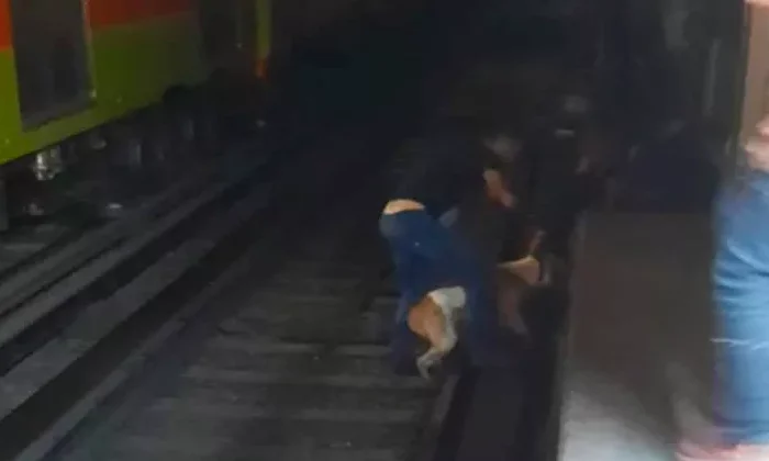 Perrito se arroja a las vías del Metro; policía logra rescatarlo