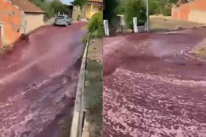 Ríos de vino tinto inundan las calles en Portugal