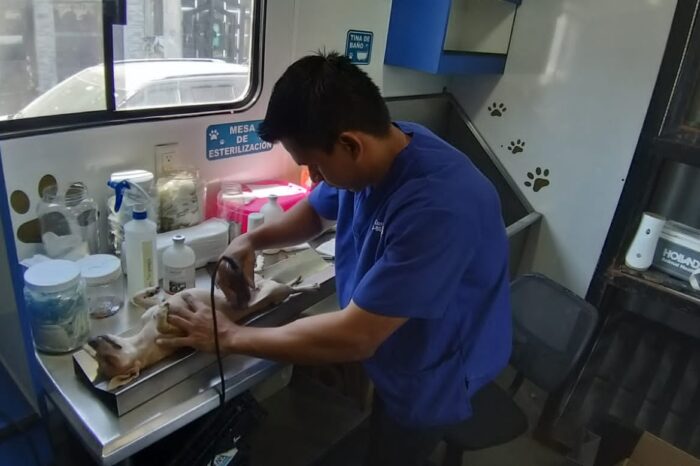 Garantiza Alcalde Carlos Peña Ortiz, salud y bienestar de mascotas