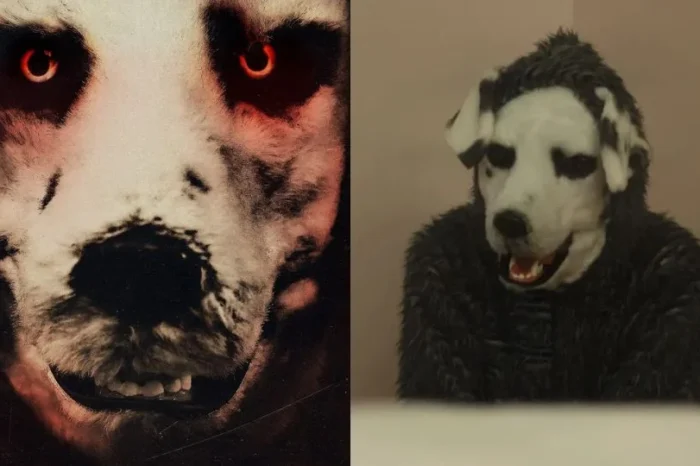 Good Boy: La inquietante película de terror que causa revuelo en redes