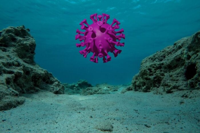 ¿Nueva amenaza? Hallan misterioso virus en la Fosa de las Marianas