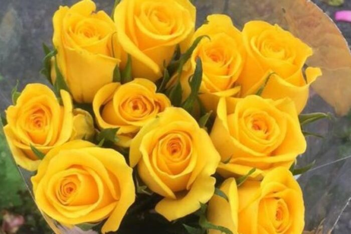 ¿Por qué se regalan flores amarillas el 21 septiembre?