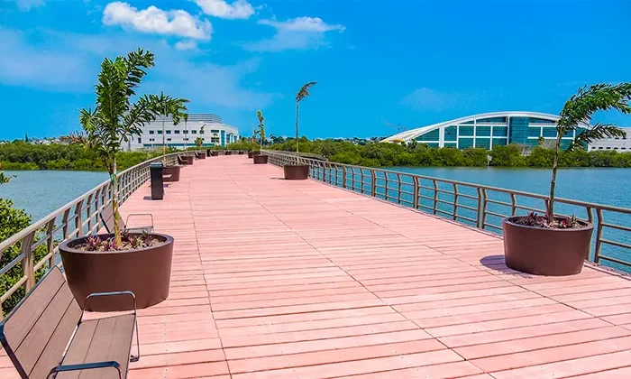 Vienen tres nuevos hoteles a Tamaulipas