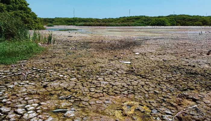 Tamaulipas vive su peor sequía en 30 años: SRHT