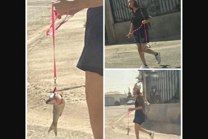 Chica pasea a su pez en plaza comercial de Mexicali