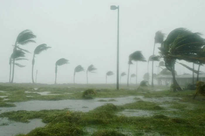 Alertan por el desarrollo de 2 ciclones en el océano Pacífico, ¿Cuáles estados afectarán?