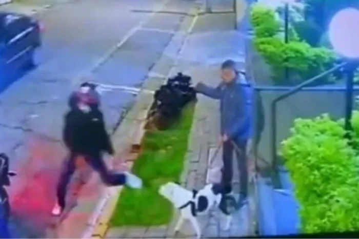 Perrito salva a su dueño de ser asaltado