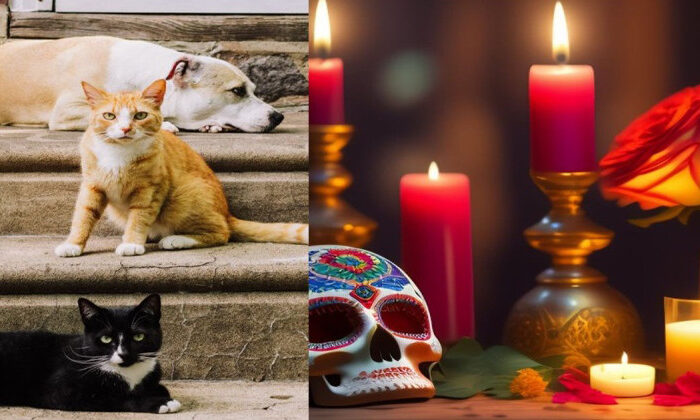 ¿Qué día llegan las almas de las mascotas fallecidas a visitarnos?