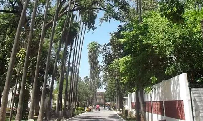 Historia de terror en Tamaulipas