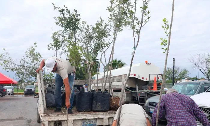 Arranca jornada de reforestación en Nuevo Laredo