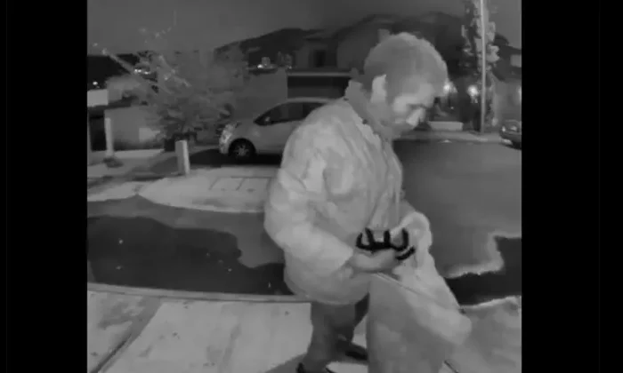 Captan a sujeto que roba decoración de Halloween; se llevó hasta las arañas