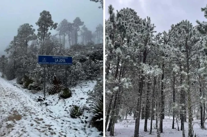 Caerá nieve en Tamaulipas esta semana