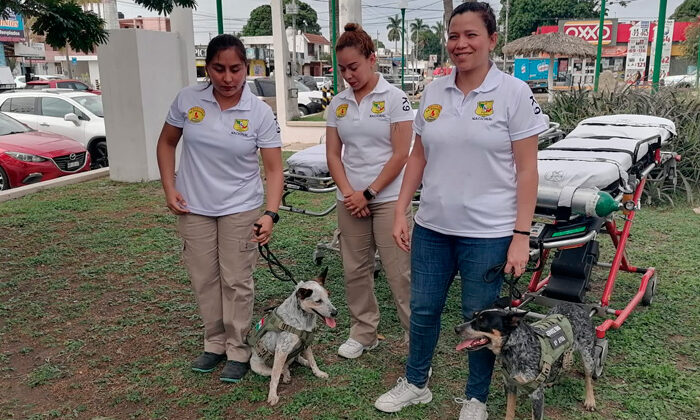 Preparan en la zona perros en auxilio y rescate