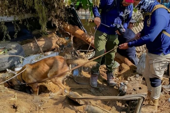Hallan cuerpo de Angelly, niña de 2 años desaparecida tras impacto de 'Otis'