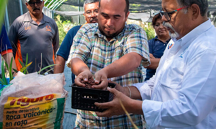 Promueve la UAT el cultivo de orquídeas