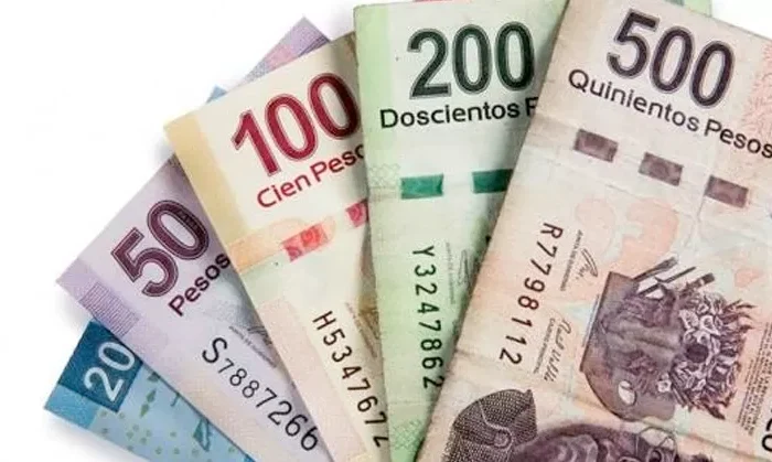 Salario mínimo: ¿cuánto aumentará en 2024?