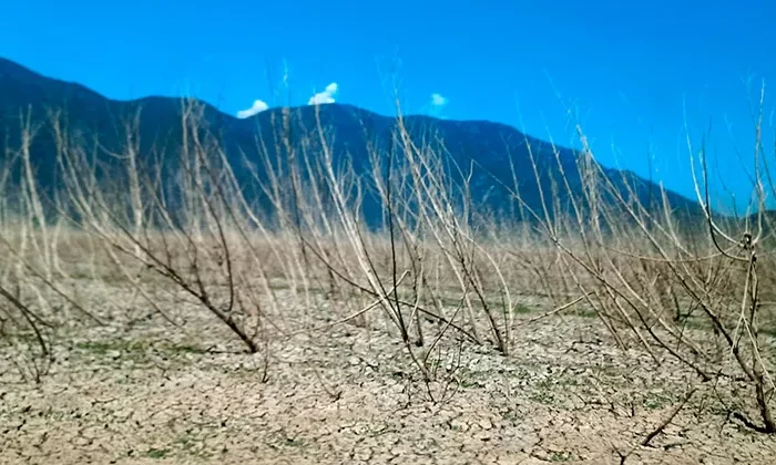 Situación crítica; no habrá agua para riego
