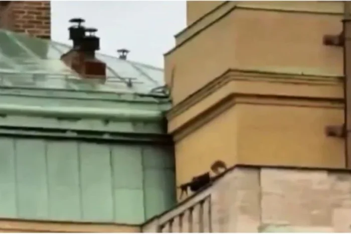 Tiroteo en Praga, el peor sufrido en un centro educativo en el mundo este año