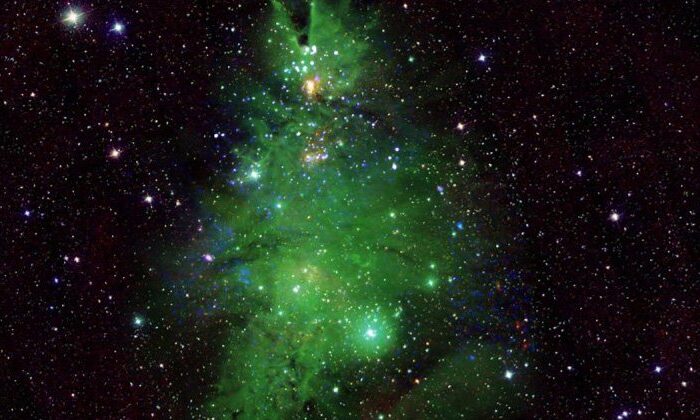 NASA comparte increíble foto del Árbol de Navidad cósmico