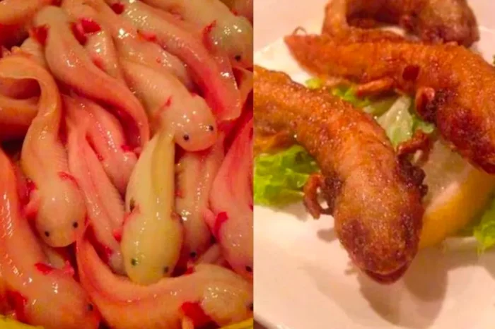 Restaurante ofrece ajolotes fritos como parte del menú