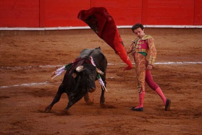 Propone AMLO consulta para prohibir las corridas de toros