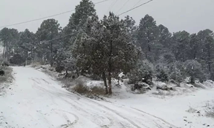 Sierras de Chihuahua, Coahuila, Durango, Sonora y Zacatecas registran heladas