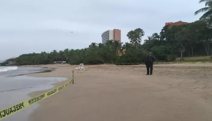 Tiburón deja un turista muerto y otro gravemente herido en Zihuatanejo