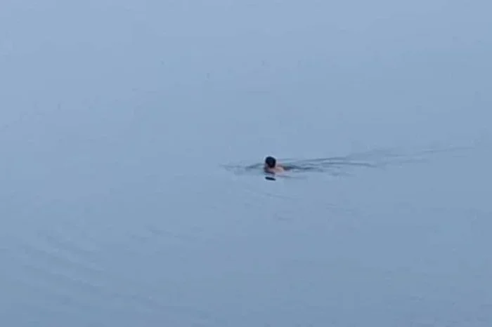 Joven se mete a nadar con cocodrilo para sentir 'emociones fuertes' en Tampico