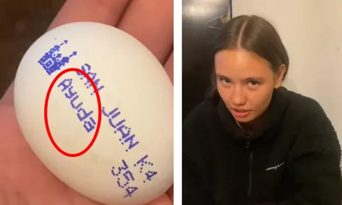 Encuentran un huevo con un mensaje que les resultó perturbador
