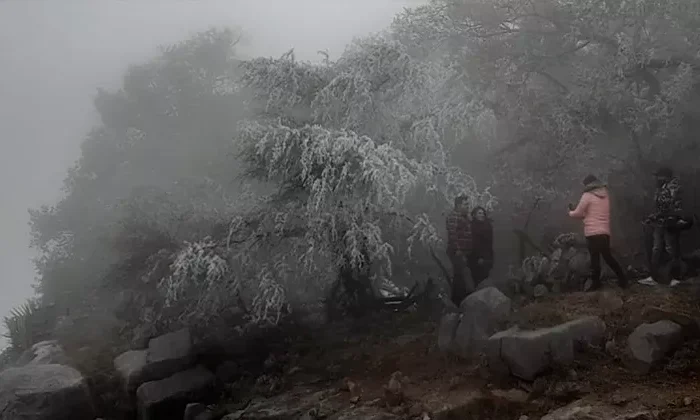 Onda gélida ‘congela’ a Tamaulipas