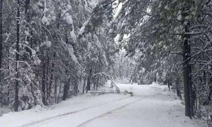 Estos estados se “congelarán” a -15 grados este miércoles 10 de enero