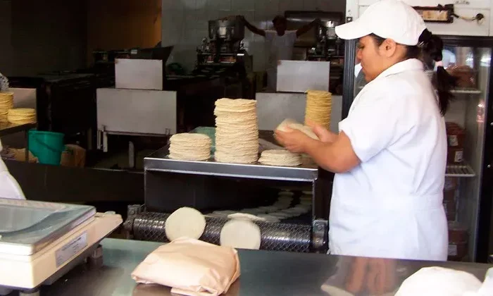 El precio de la harina de maíz no subirá durante el 2024: López Obrador