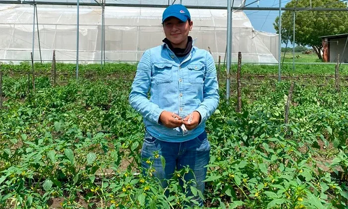 Identifica la UAT plantas con potencial bioinsecticida