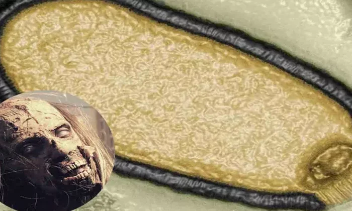 Antiguos virus atrapados en el Ártico podrían desatar nueva pandemia mortal