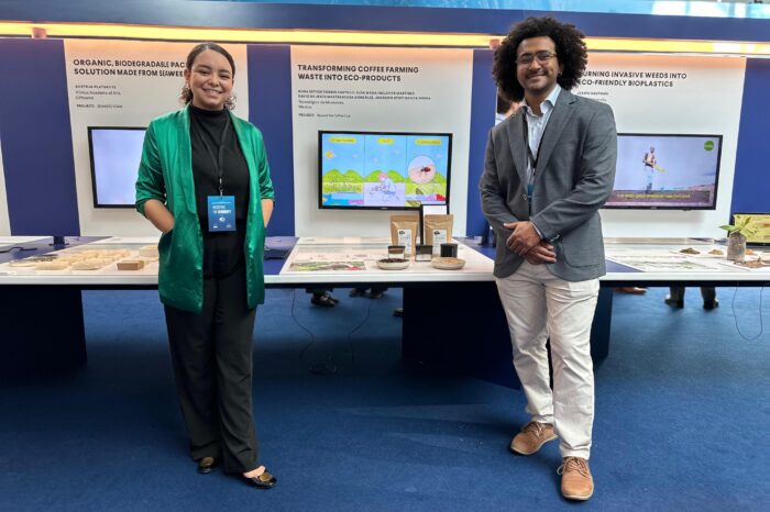 Reconocimiento al Talento Científico Tamaulipeco: la investigadora Nora Esther Torres Castillo Recibirá Honor del Senado de la República