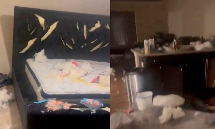 Mujer destroza el departamento de su novio porque no le dio regalo de San Valentín