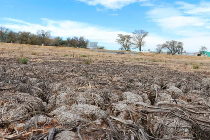Quedarían sin agua 32 municipios de Tamaulipas: WRI